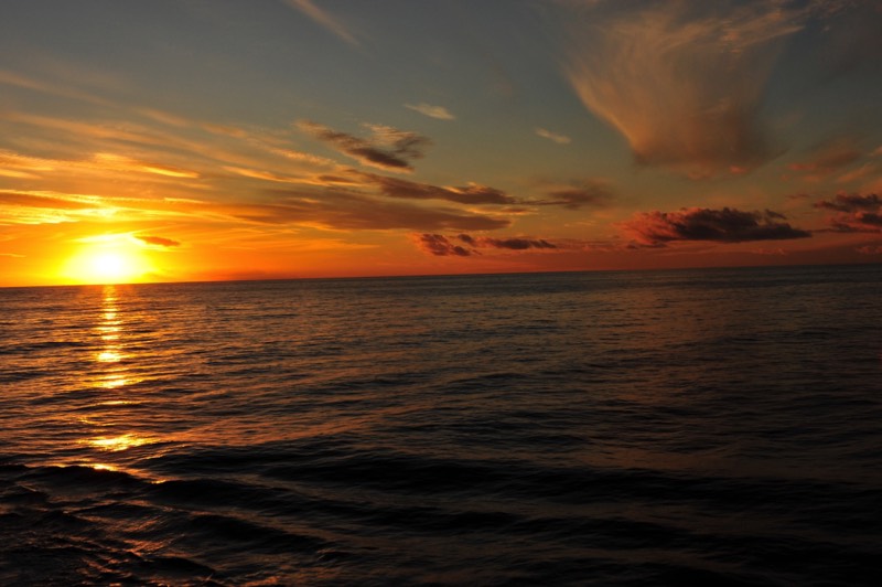 Stacks Image 6129